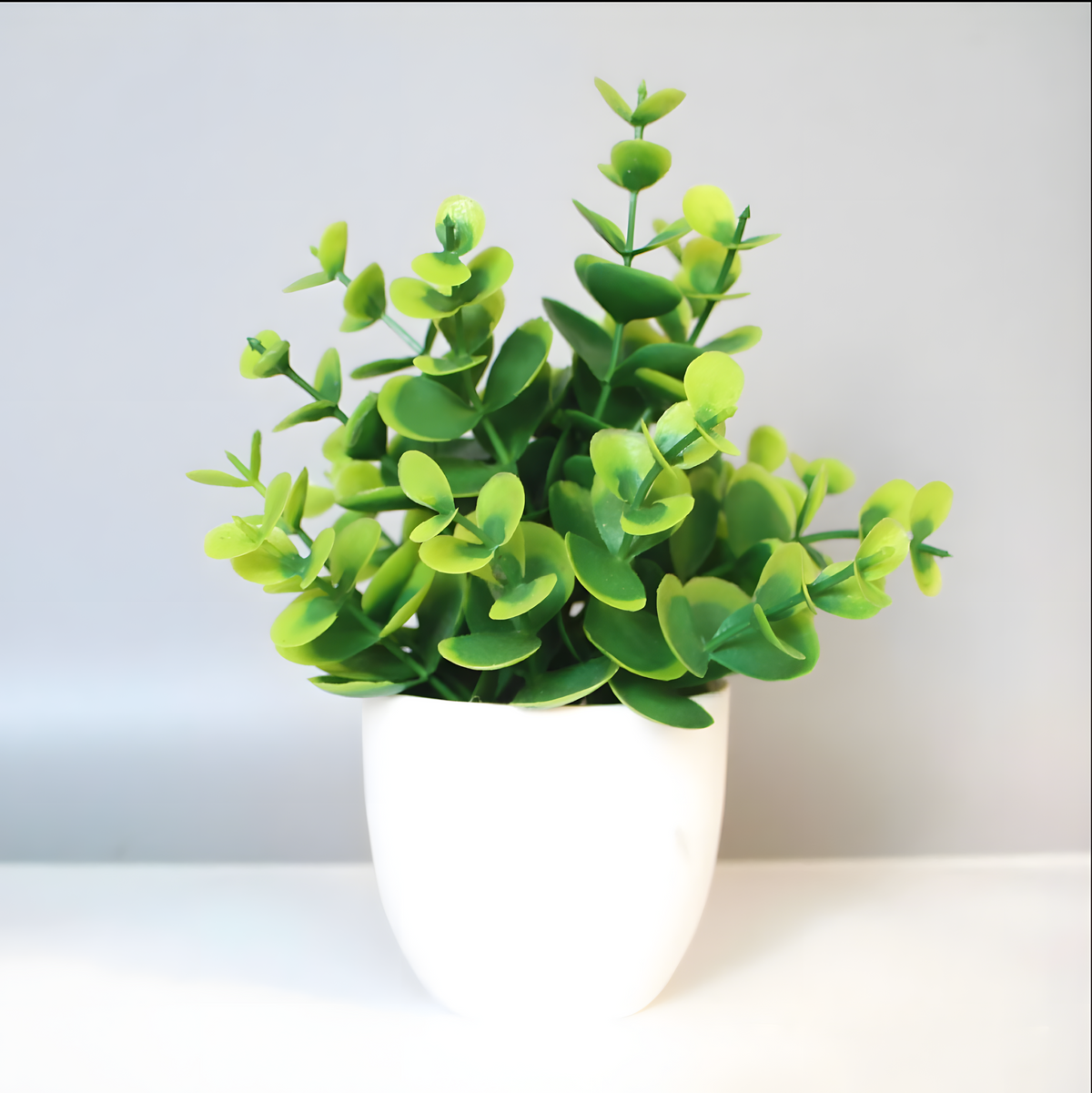 Artificial Plants