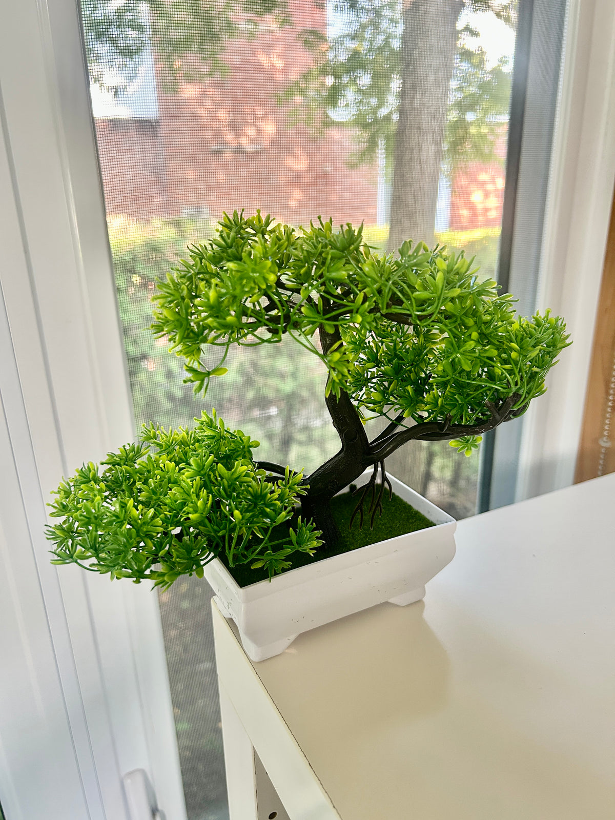 Multicolor Bonsai Trees