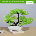 Multicolor Bonsai Trees