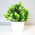 Artificial Plants