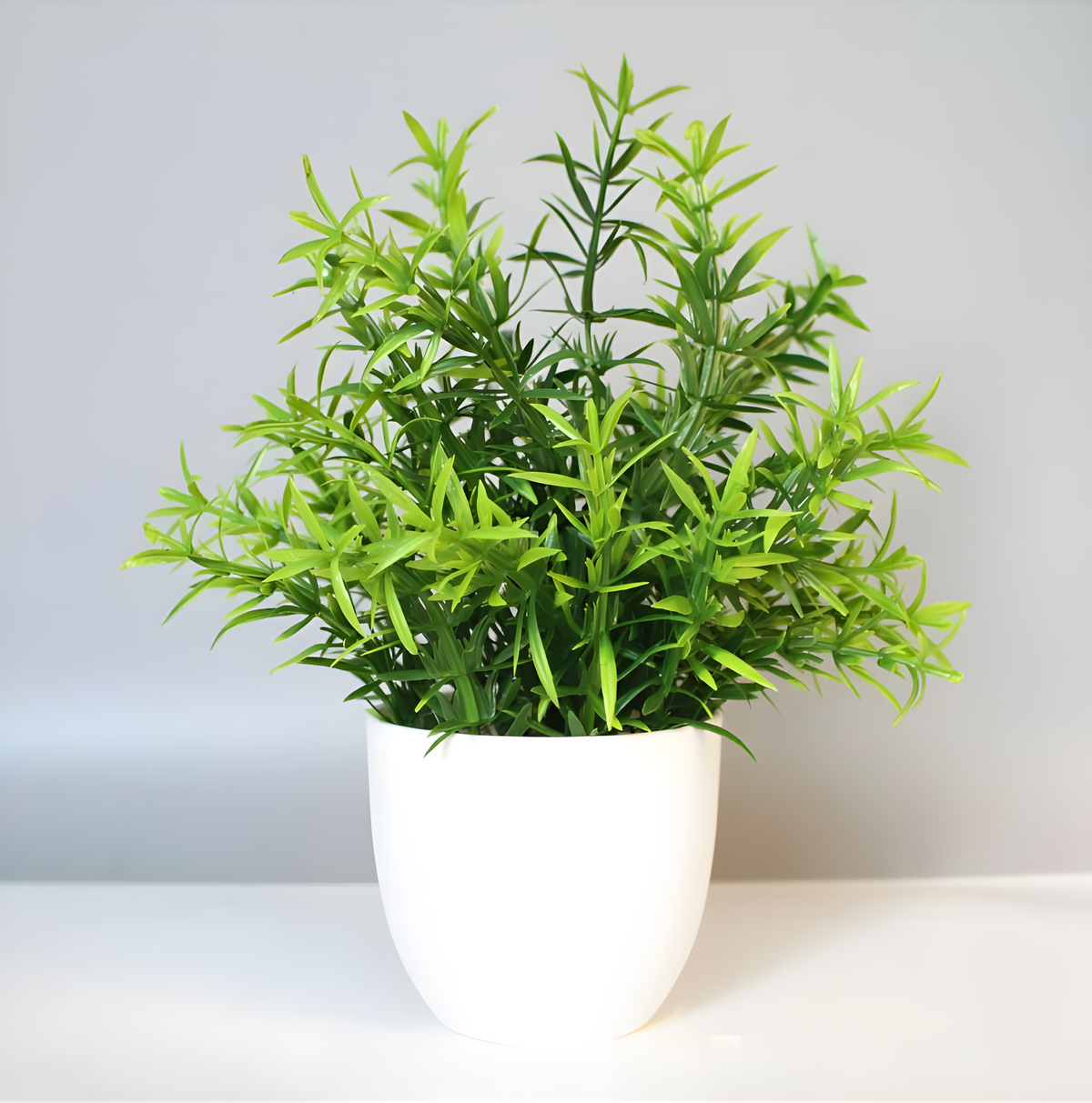 Artificial Plants